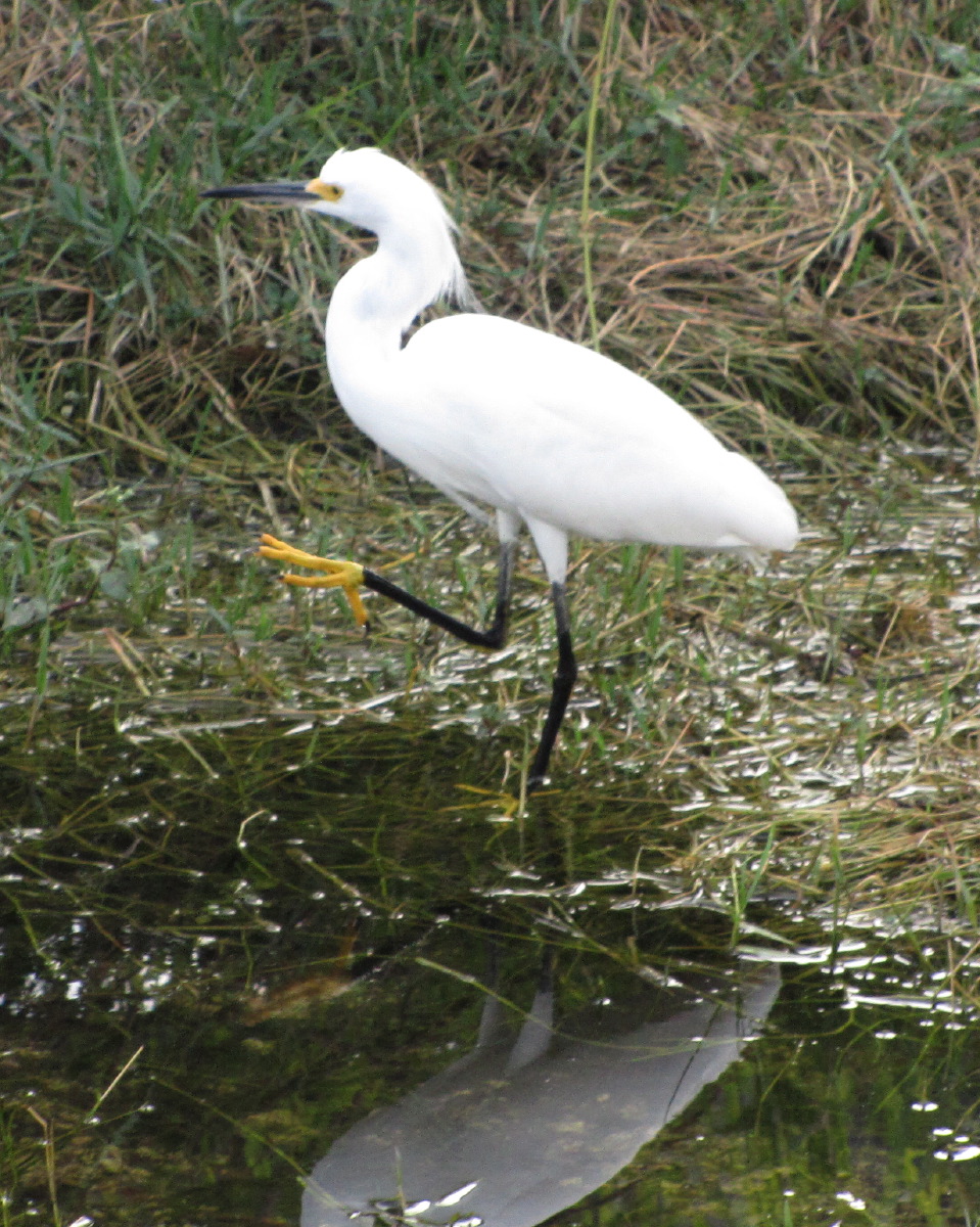 IMG_6638.JPG