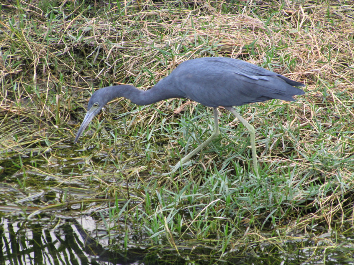IMG_6643.JPG