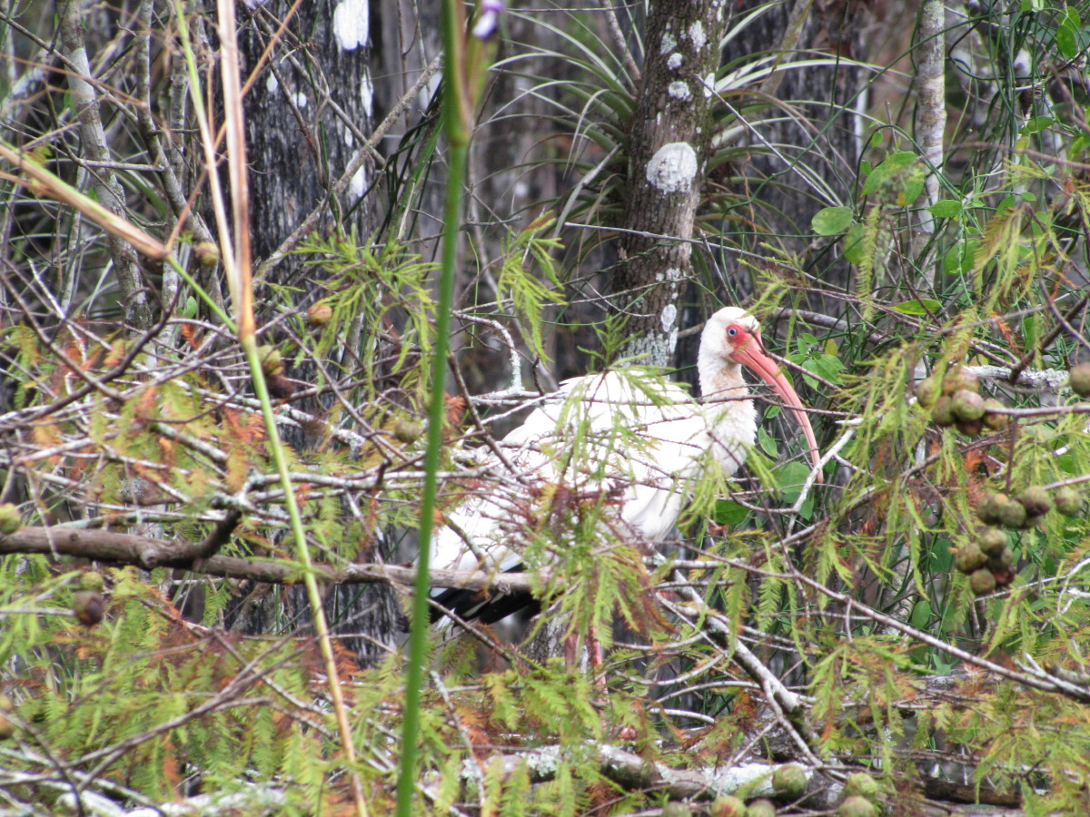 IMG_6782.JPG