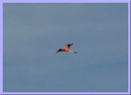 IMG_5692.JPG