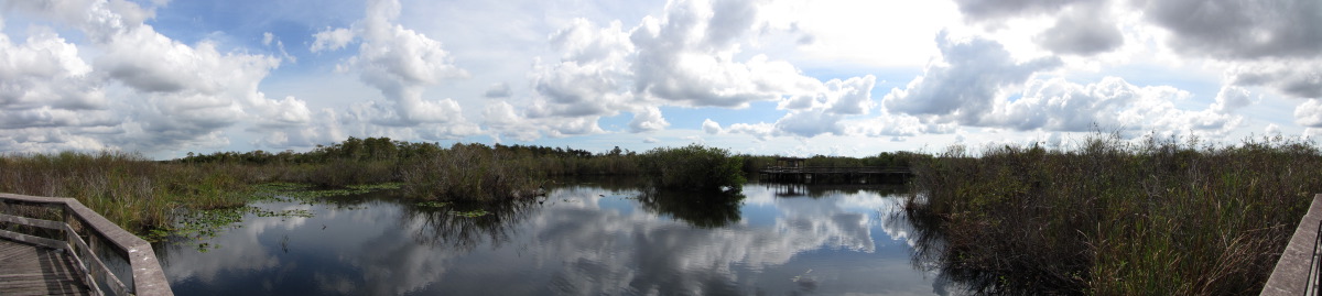 ENP-AnhIngaTrail1.jpg