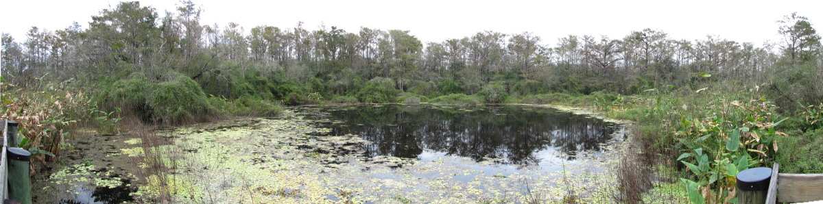 SMS-OtterPond.jpg