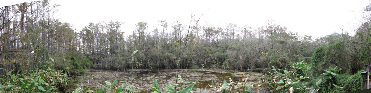 SMS-OtterPond2.jpg