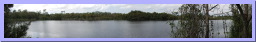 SMS-GatorLake4.jpg
