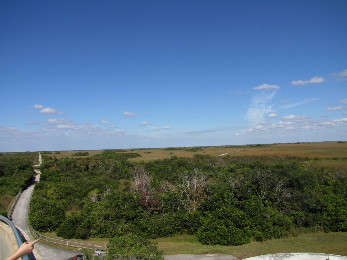 IMG_4866.JPG