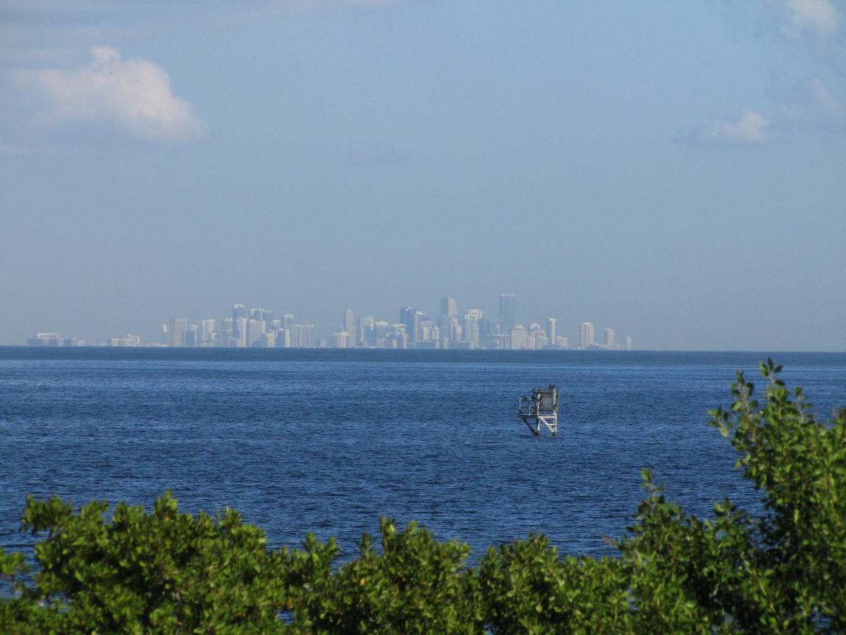 IMG_5019.JPG