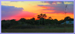 ENP-AnhingaSunset-2.jpg
