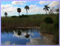 IMG_5448_7_6_tonemapped.jpg