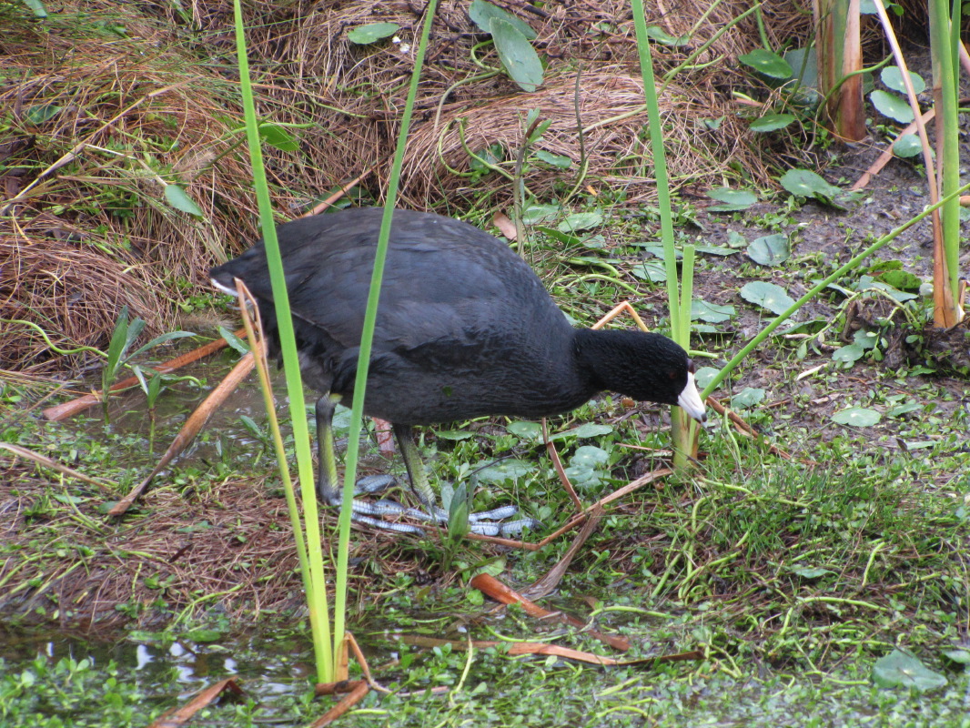 IMG_8976.JPG
