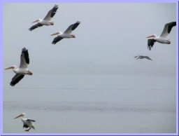 IMG_9590.JPG