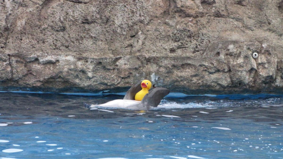 IMG_8786.JPG
