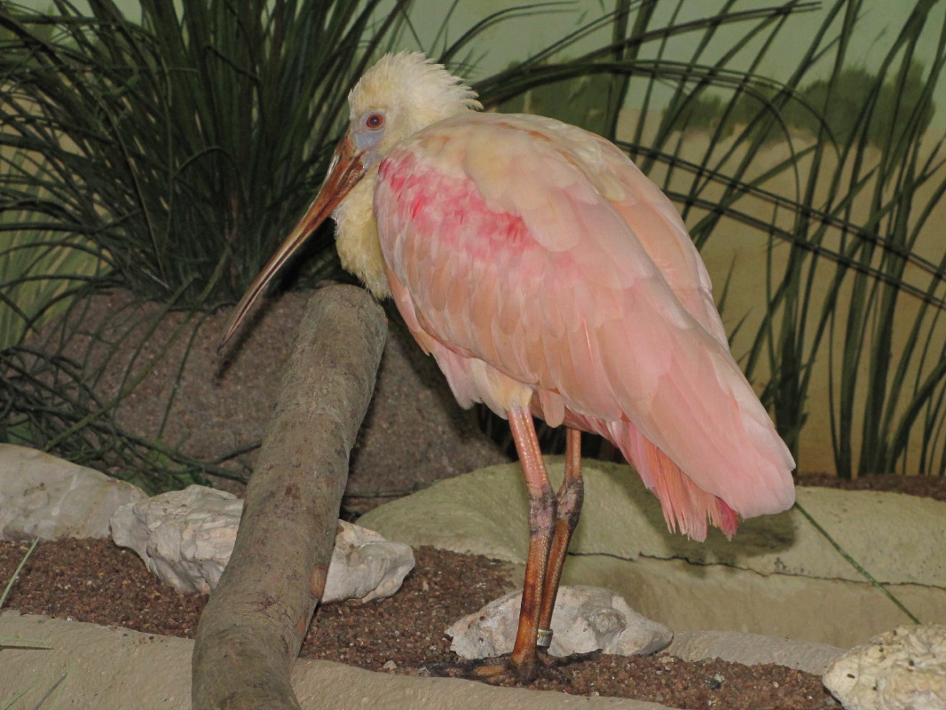 IMG_8947.JPG