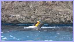 IMG_8786.JPG