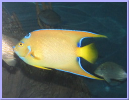 IMG_8880.JPG