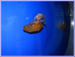 IMG_8943.JPG