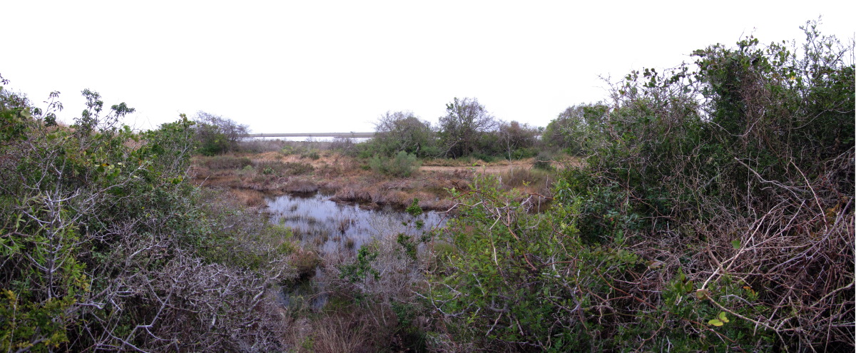 ANWR-HeronFlats-2.jpg
