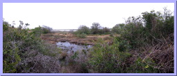 ANWR-HeronFlats-2.jpg