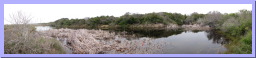 ANWR-HeronFlatsPond-1.jpg