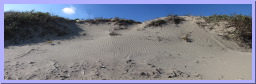 PINS-SandDune.jpg