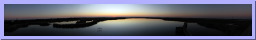 PortAransasBird-4.jpg