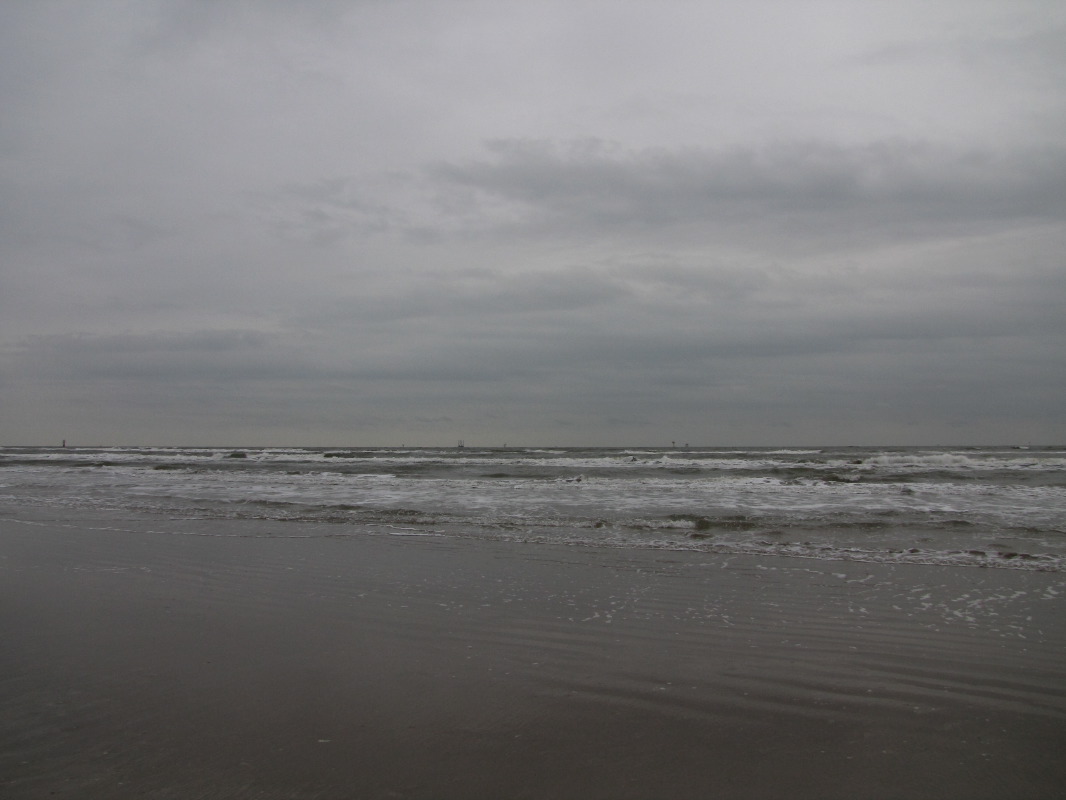 IMG_8764.JPG