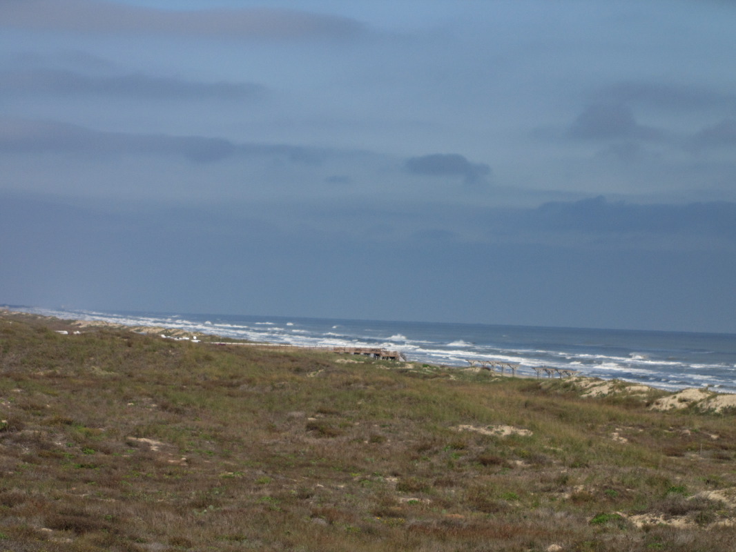 IMG_9247.JPG