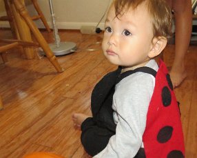 IMG_8022