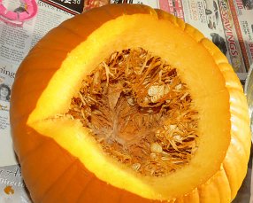 IMG_0371 Pumpkin guts