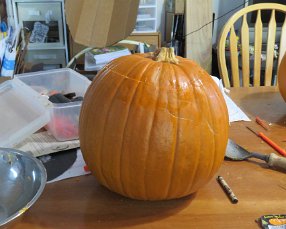 IMG_4087 Starting Pumpkin
