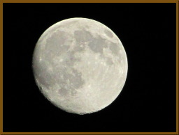 IMG_3812.JPG