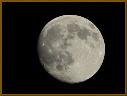 IMG_3813.JPG