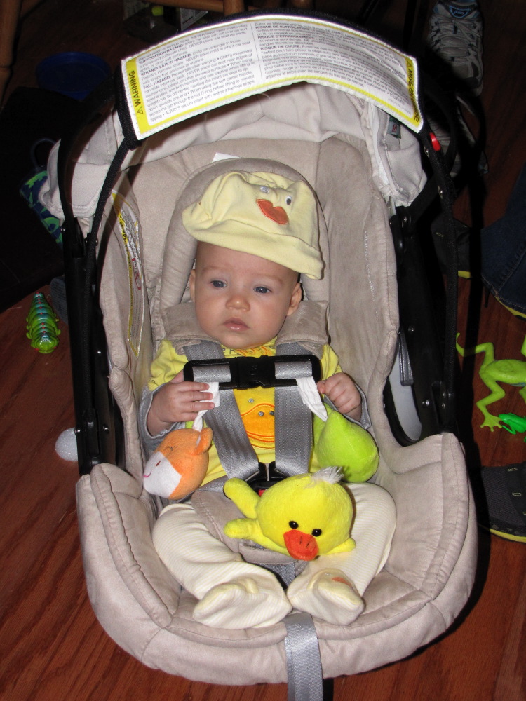 IMG_8644.jpg