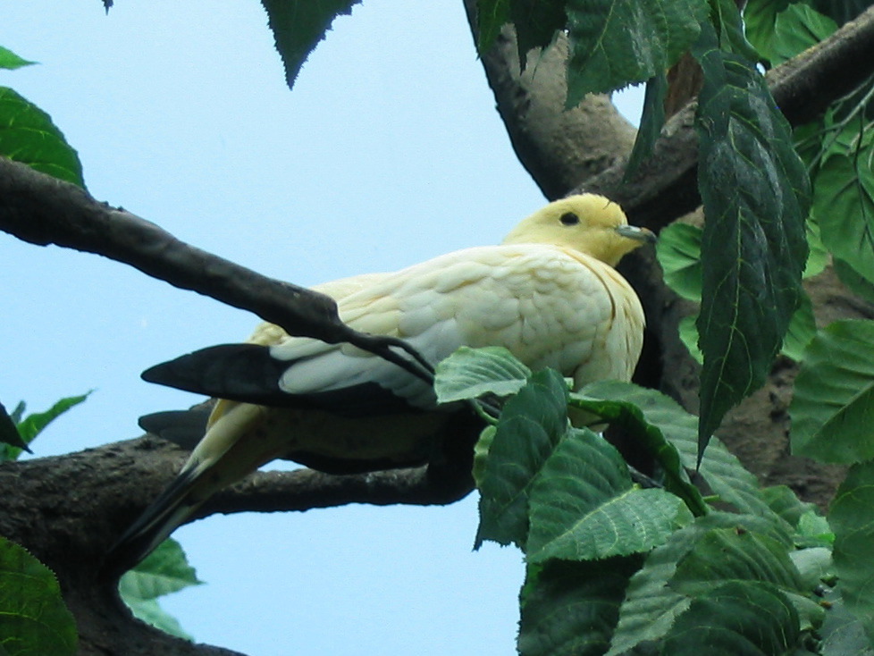 IMG_3134.JPG
