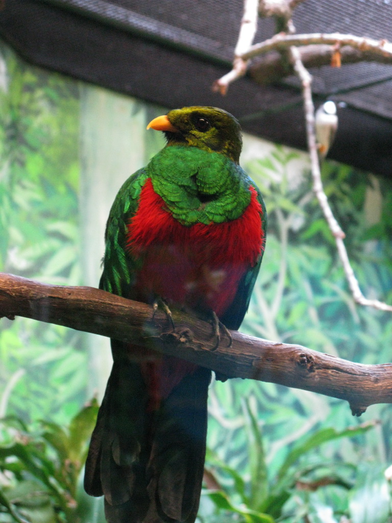 IMG_5075.jpg