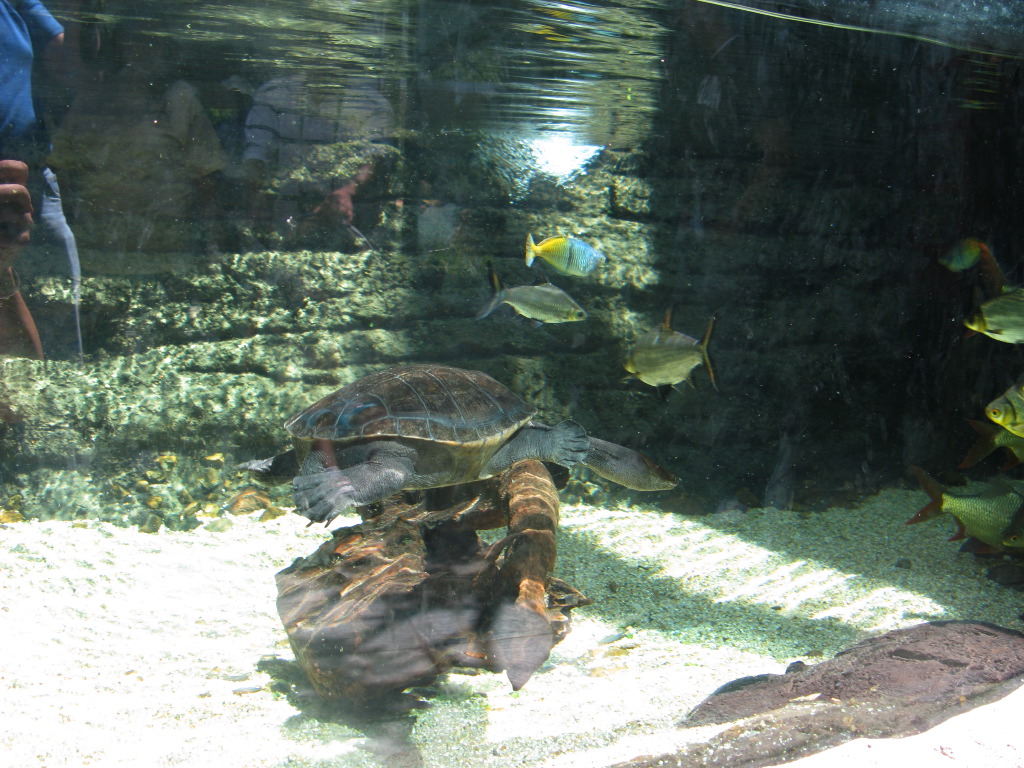 IMG_5259.JPG