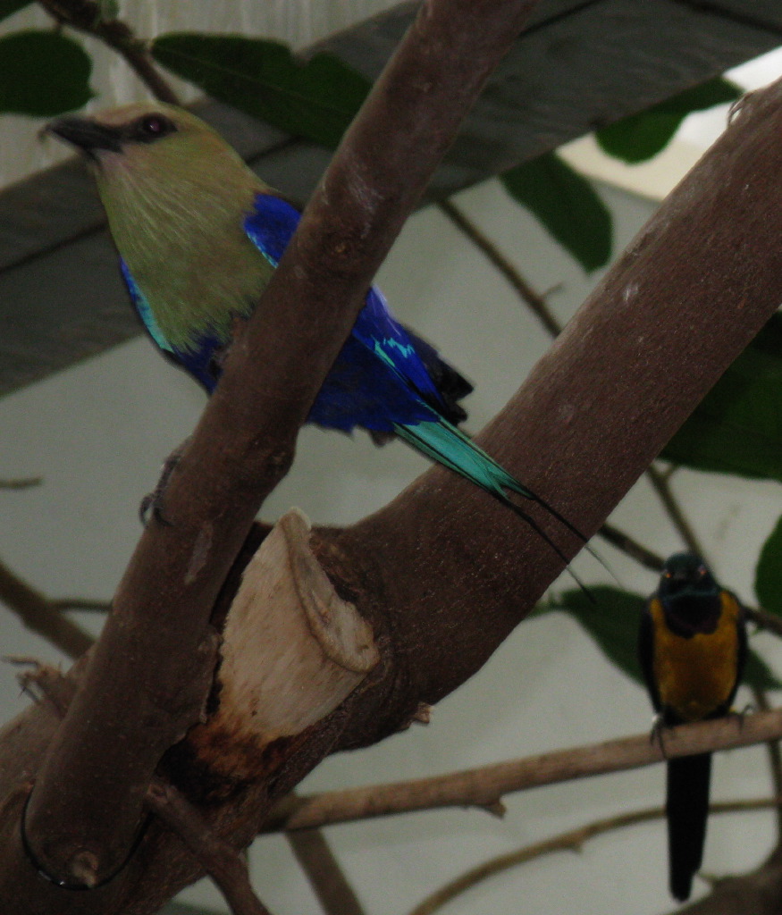 IMG_5362.JPG
