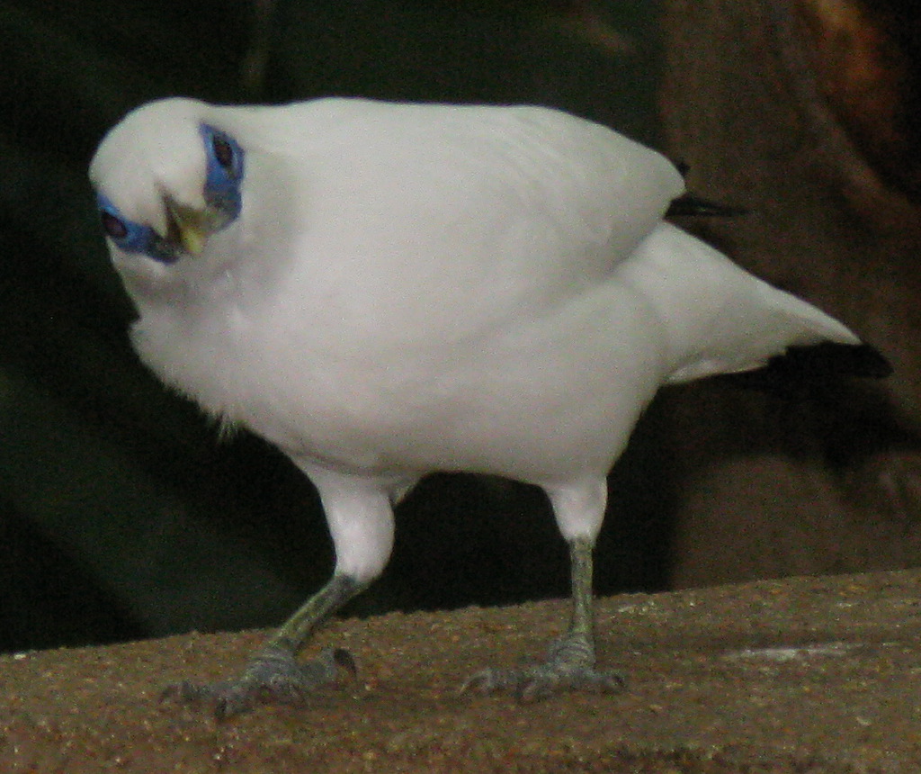 IMG_5424.JPG