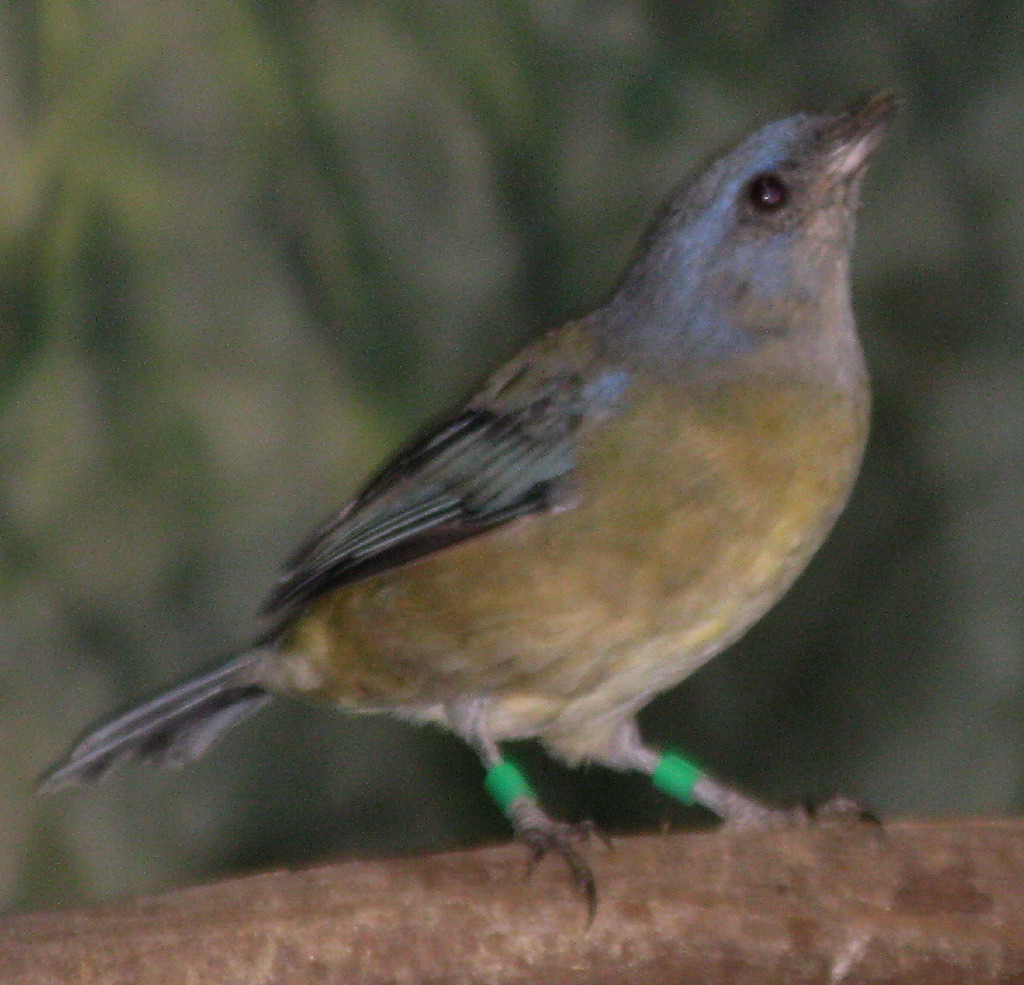 IMG_5448.JPG