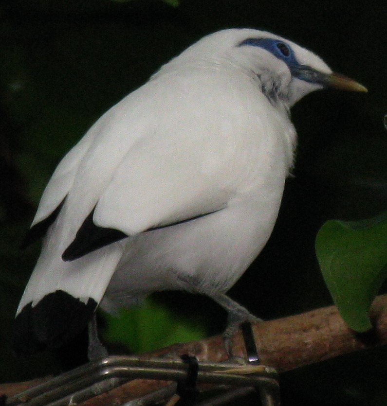 IMG_5449.JPG