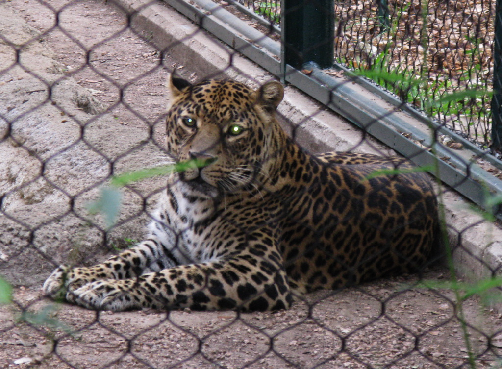 IMG_5486.JPG
