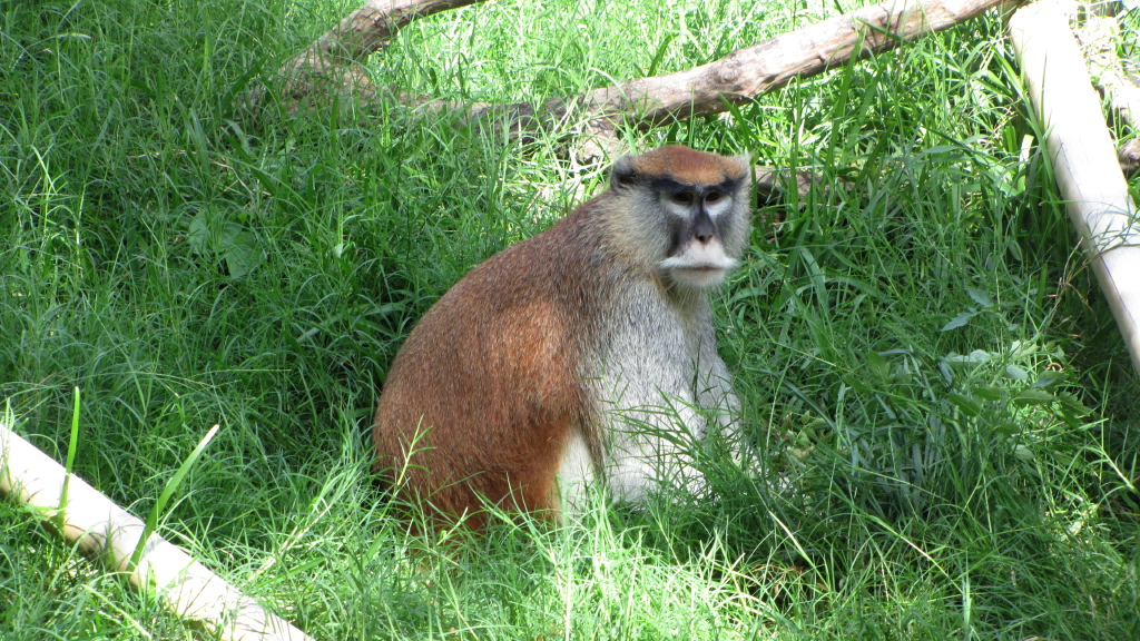 IMG_5545.JPG