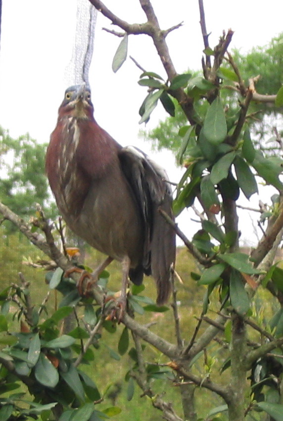 IMG_7127.JPG