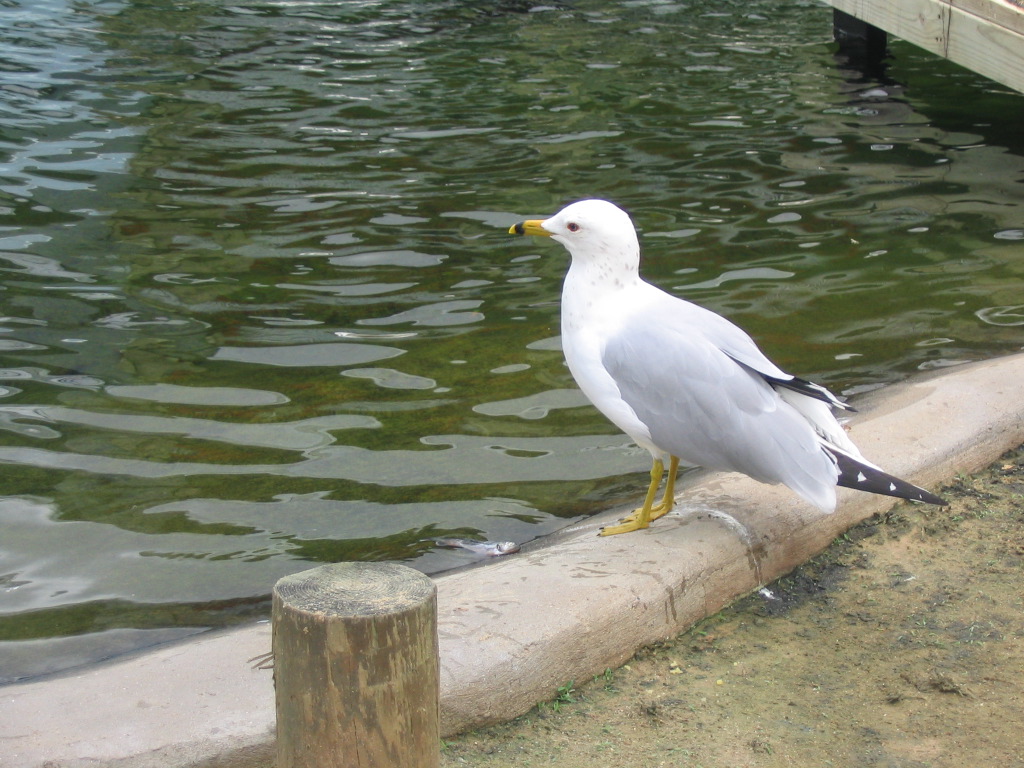 IMG_7137.JPG