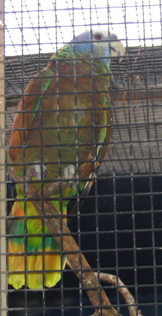 IMG_7153.JPG