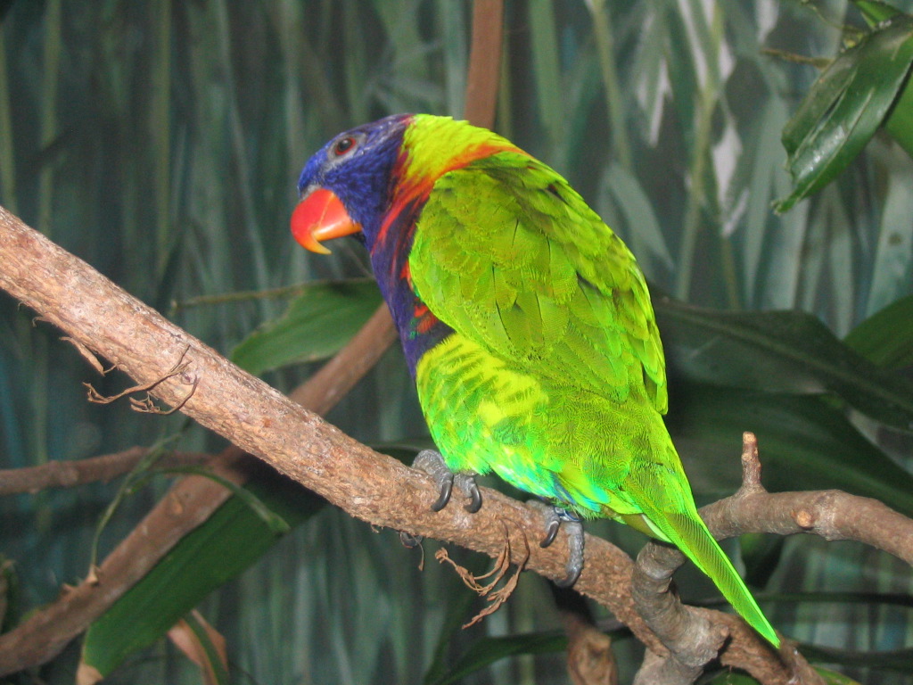 IMG_7160.JPG