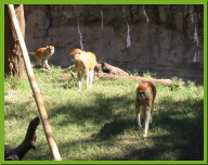 IMG_3170.JPG