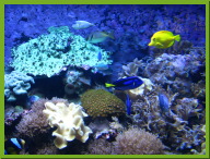 IMG_3211.JPG