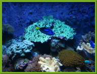 IMG_3215.JPG
