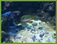 IMG_3217.JPG