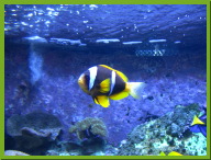 IMG_4997.JPG